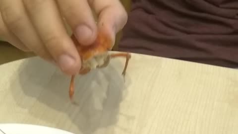 Funny eating lobster