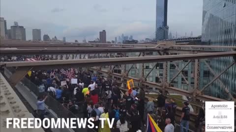 Clip of Ep. 281 Huge Stop The Mandate Rally N Brooklyn