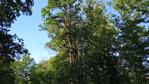 sous le ciel bleu balade du 18 juin