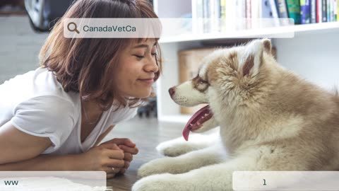 Canadavetcare Super Sale - 20 % Off + Extra Offers. Buy Now & Save Big!