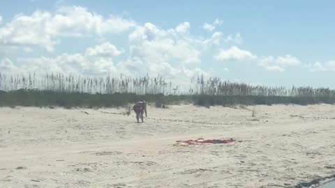 Island Hopping on Cayo Costa State Park, Florida