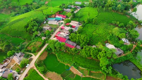 The beauty of Long Coc tea hill