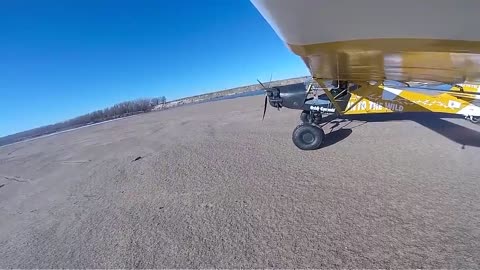 Kitfox on a river in Kansas