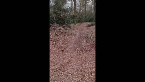 Puppy hilariously thinks he's an actual "Mountain bike