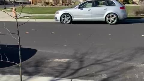 Tumbleweed Invasion of Suburban Street