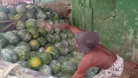 amazing watermelon skills