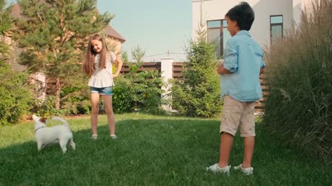 siblings having fun with playful jack russell terrier dog in backyard on sunny summer day