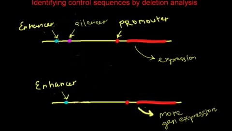 Identifying control sequences by deletion analysis