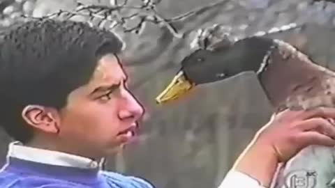 man hypnotizing a duck