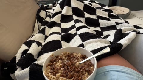 Cat Zooms Through Cereal Bowl