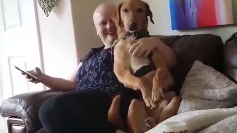 Affectionate doggo