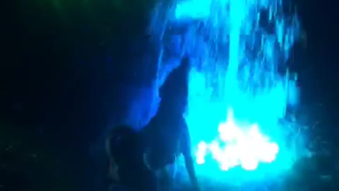 Dog attacks blue water fountain