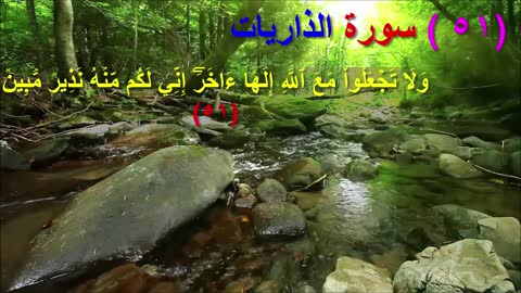 سورة سورة الذاريات من الاية 31-51 (ما معنى : فتولـّـى بركنه ) -522