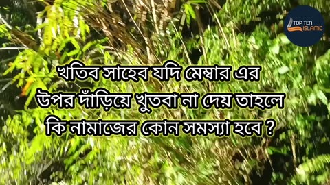 খতিব সাহেব যদি মেম্বার এর উপর দাঁড়িয়ে খুতবা না দেয় তাহলে কি নামাজের কোন সমস্যা হবে ?