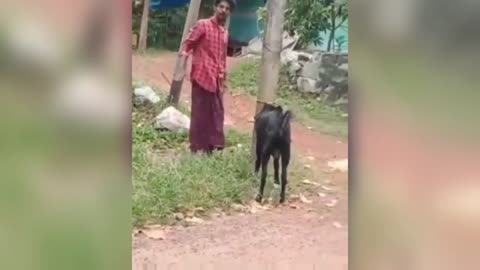 Funny Malayam videos