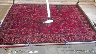 Idaho State Oriental rug cleaning Mrs. Jackie