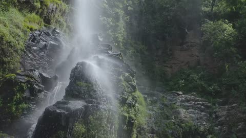 Waterfall in forest