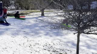 Winter Sledding With Friends