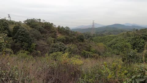 香港千島湖清景台（大棠＊大欖涌水塘）Reservoir Islands Viewpoint，Hong Kong, mhp1010, Jan 2021