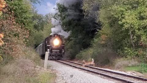 Deer waits for Fort Wayne Railroad Historical Society's Nickel Plate Road No. 765 to back up