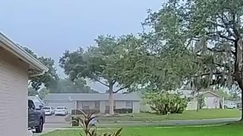 Lightning Strikes Tree Outside Home