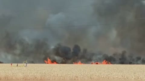 Ukronazi hand? In Nedvigovka, Rostov region, several wheat fields burned down.