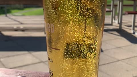 Slow motion summer cider bubbles