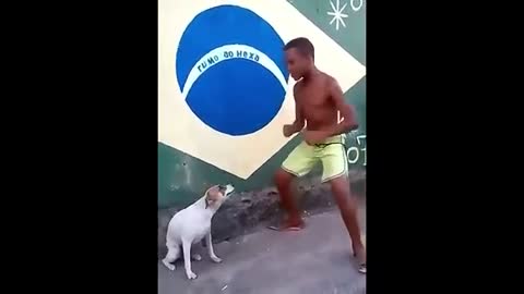 Perro dandolo todo en el baile