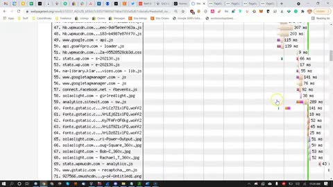 WordPress Website Slow Performance Audit - Core Web Vitals - Website Speed - Time To First Bite TTFB