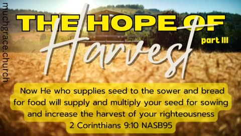 The Hope of Harvest (3) : The Harvest is Plentiful