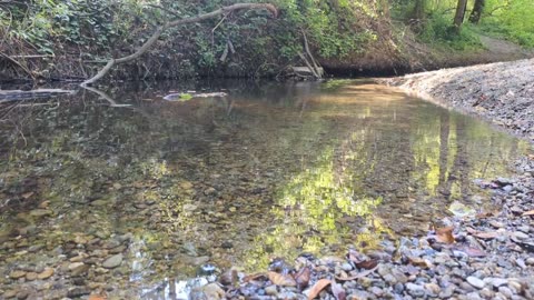 Hang out down by the creek