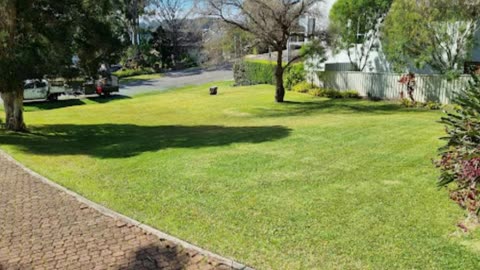 Best Garden Maintenance Service in Cameron Park