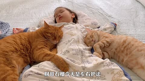 Cute, baby and cats nap together