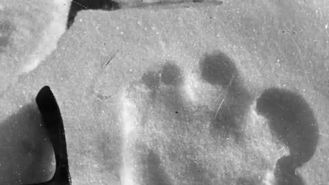 World's Most Compelling Bigfoot Evidence?