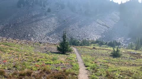 Central Oregon - Three Sisters Wilderness - Gorgeous Alpine Meadow