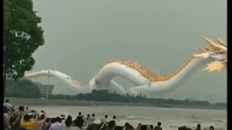 Tik Tok Chinese Dragon(unseen)