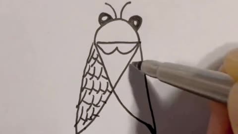 Draw a cicada by hand. Move your little hand and learn from me.