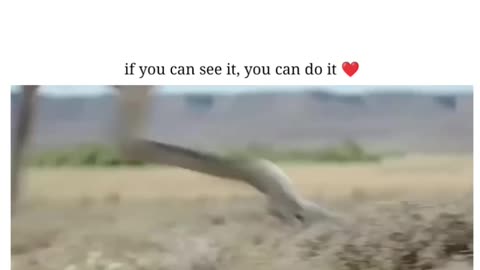 You can do it