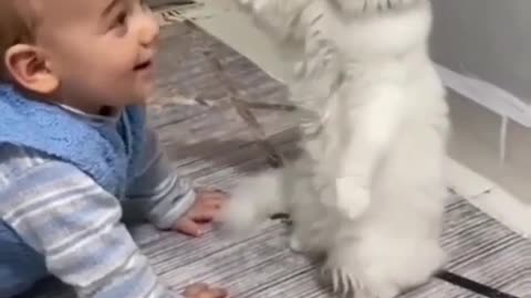 Cute baby and cute cat