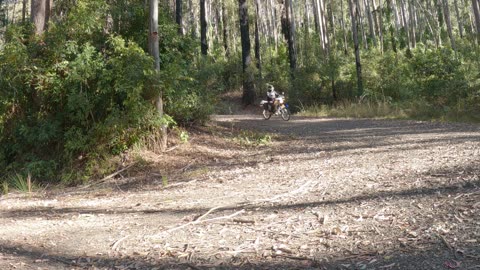 KOSEKAI LOOKOUT | DUNGGIR NATIONAL PARK AUSTRALIA | WR250R ADVENTURE RIDE