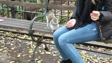 Woman on park bench feeding squirrel