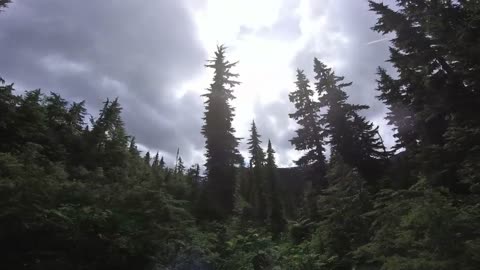 Jeep Life - Hiking to upper Strathcona park