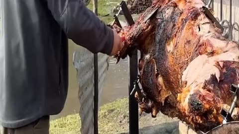 Roasting a Huge Bull on a Steel Spit-Easy Survival