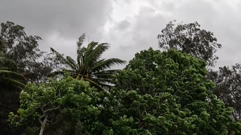 TROPICAL CYCLONE KIRRILY, ALVA BEACH, 3PM, 25-01-2024