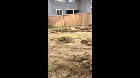 Dad Builds His Own Baseball Field in Backyard