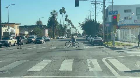 Los Angeles Scenic Driving Tour