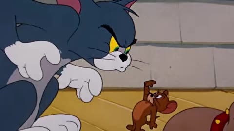 Tom&jerry cartoon