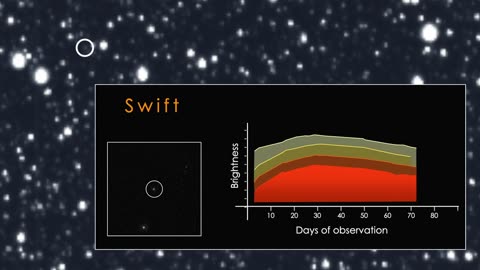 TESS Catches its First Star-destroying Black Hole