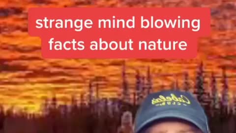 Facts about nature for you to study