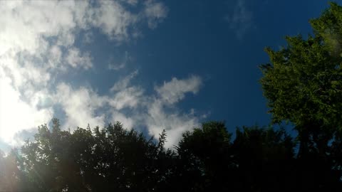 Clouds above the trees